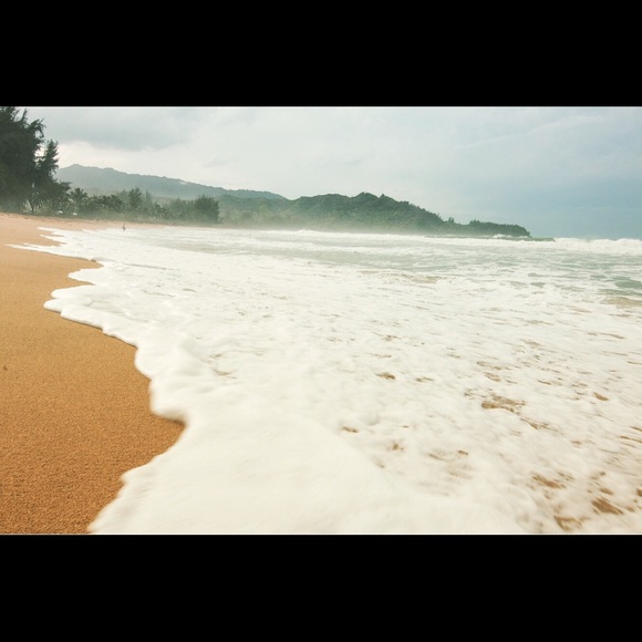 Meet your Posher, Lauren - Picture 4 of 7